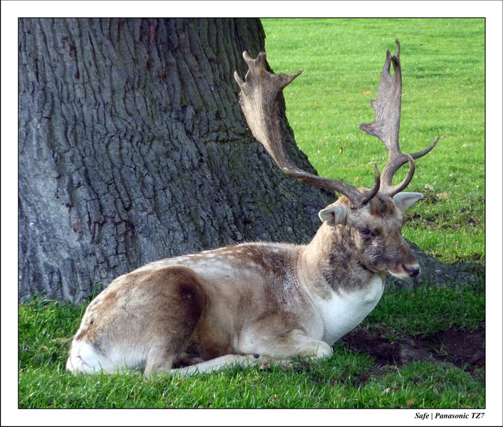 2010 - 10 - Stamford 36